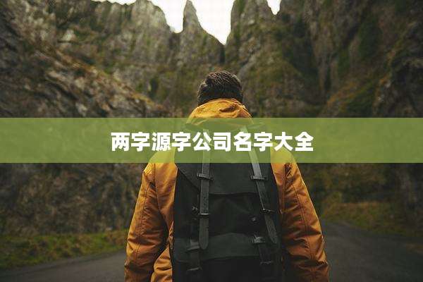 两字源字公司名字大全