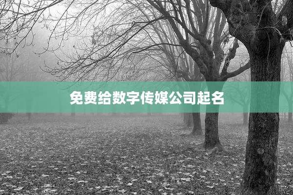 免费给数字传媒公司起名