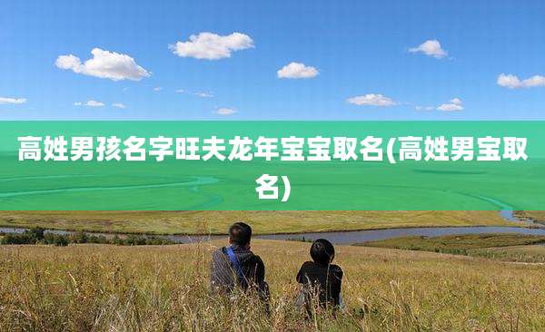 高姓男孩名字旺夫龙年宝宝取名(高姓男宝取名)