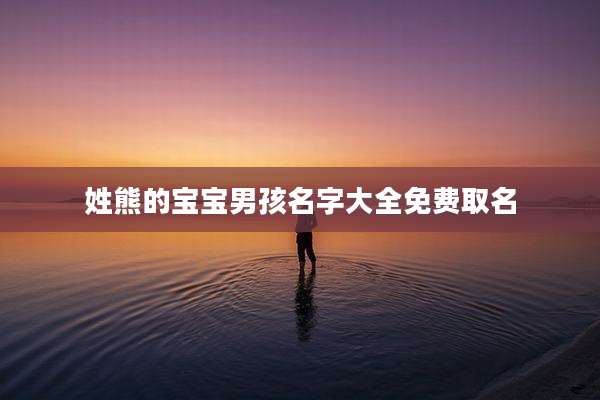 姓熊的宝宝男孩名字大全免费取名