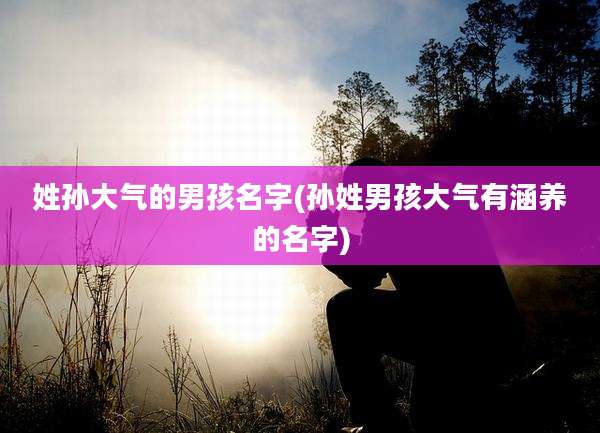 姓孙大气的男孩名字(孙姓男孩大气有涵养的名字)