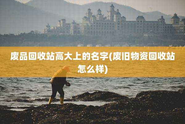 废品回收站高大上的名字(废旧物资回收站怎么样)