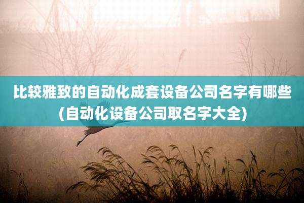比较雅致的自动化成套设备公司名字有哪些(自动化设备公司取名字大全)