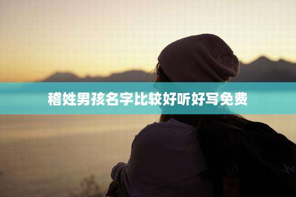 稽姓男孩名字比较好听好写免费