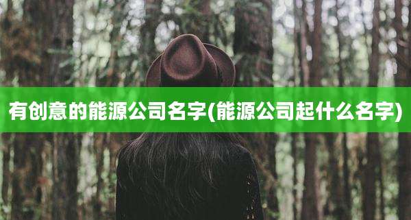 有创意的能源公司名字(能源公司起什么名字)