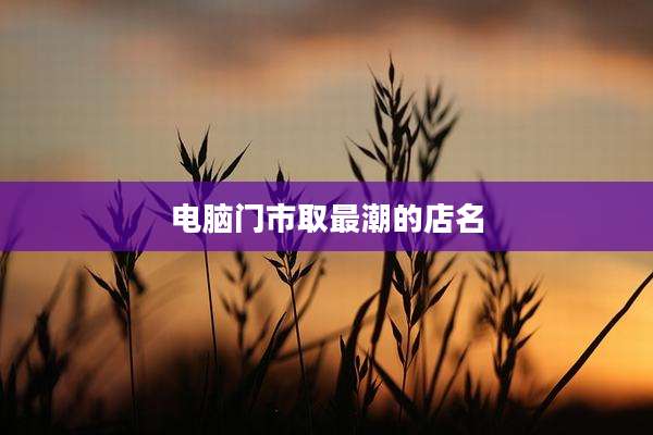 电脑门市取最潮的店名