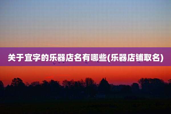 关于宜字的乐器店名有哪些(乐器店铺取名)