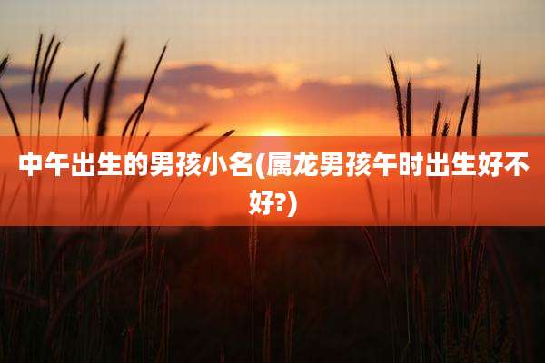 中午出生的男孩小名(属龙男孩午时出生好不好?)
