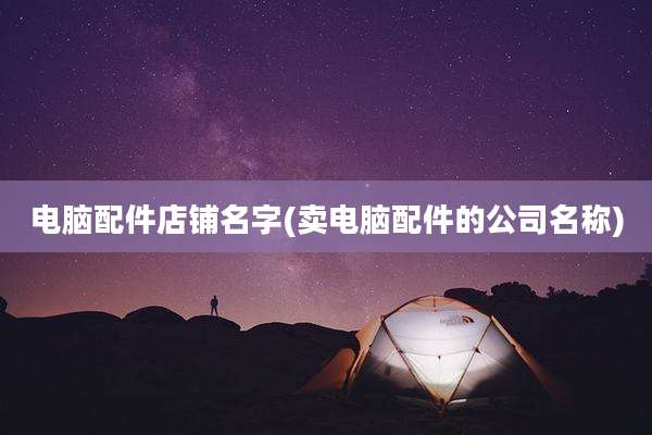 电脑配件店铺名字(卖电脑配件的公司名称)