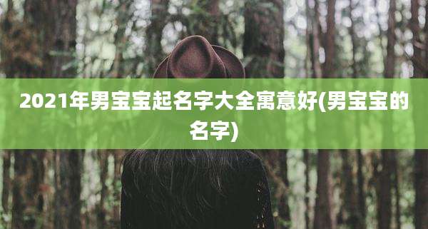 2021年男宝宝起名字大全寓意好(男宝宝的名字)