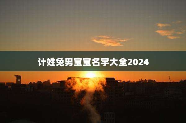 计姓兔男宝宝名字大全2024