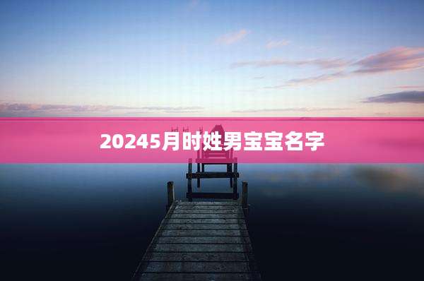 20245月时姓男宝宝名字