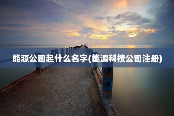 能源公司起什么名字(能源科技公司注册)