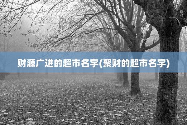 财源广进的超市名字(聚财的超市名字)