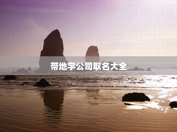 带地字公司取名大全