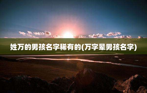 姓万的男孩名字稀有的(万字辈男孩名字)