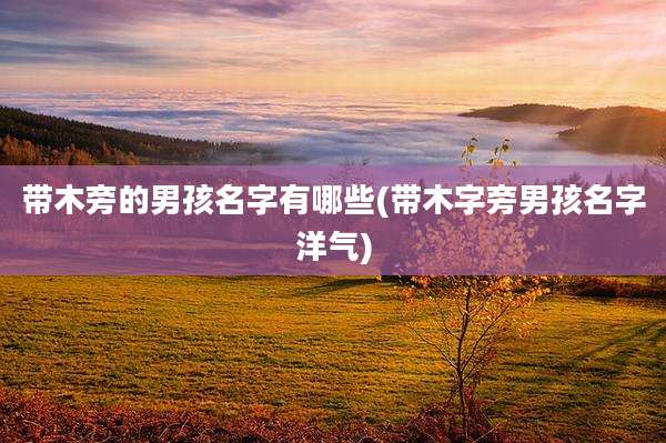 带木旁的男孩名字有哪些(带木字旁男孩名字洋气)