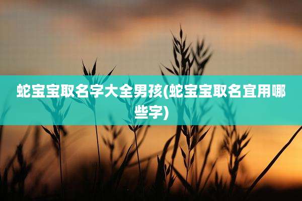 蛇宝宝取名字大全男孩(蛇宝宝取名宜用哪些字)