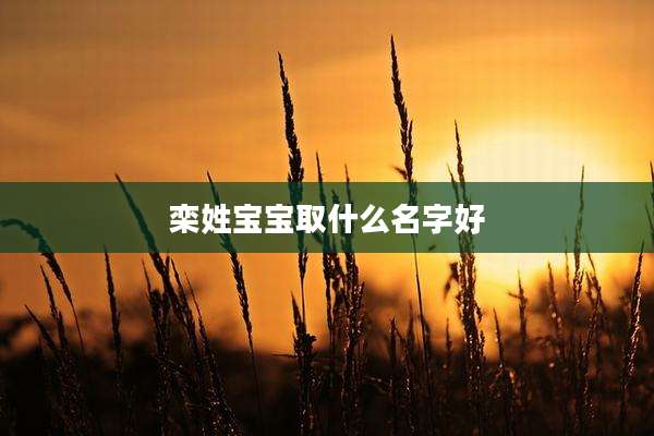 栾姓宝宝取什么名字好