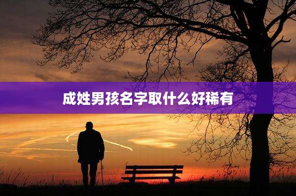 成姓男孩名字取什么好稀有