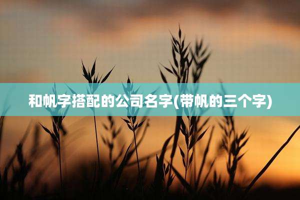 和帆字搭配的公司名字(带帆的三个字)
