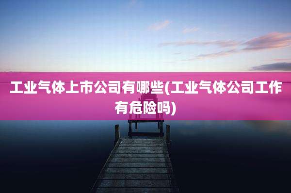 工业气体上市公司有哪些(工业气体公司工作有危险吗)