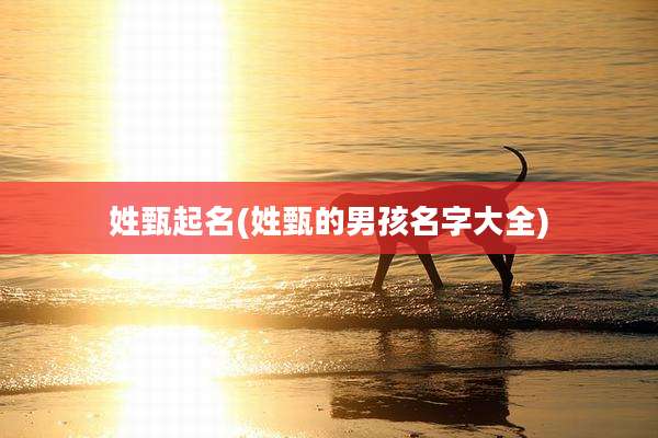 姓甄起名(姓甄的男孩名字大全)