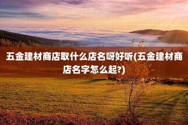 五金建材商店取什么店名呀好听(五金建材商店名字怎么起?)