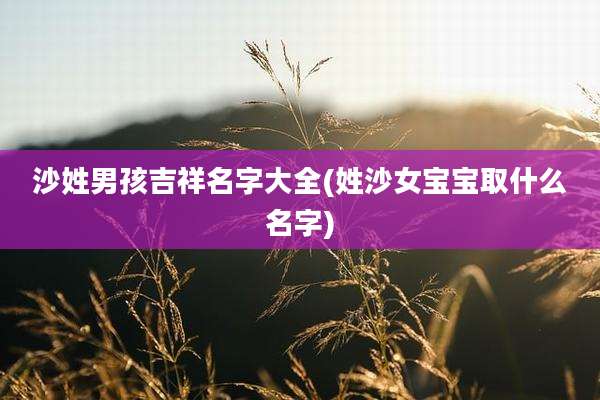 沙姓男孩吉祥名字大全(姓沙女宝宝取什么名字)