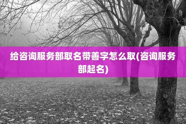 给咨询服务部取名带善字怎么取(咨询服务部起名)