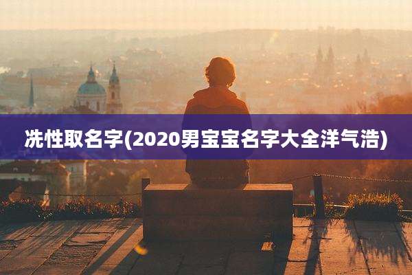 冼性取名字(2020男宝宝名字大全洋气浩)