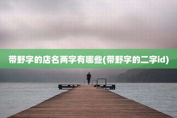 带野字的店名两字有哪些(带野字的二字id)