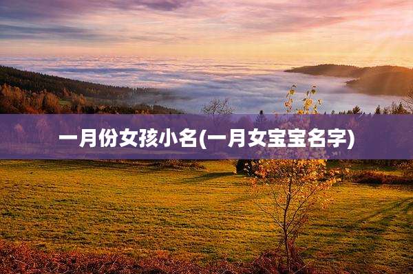一月份女孩小名(一月女宝宝名字)
