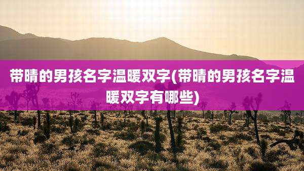 带晴的男孩名字温暖双字(带晴的男孩名字温暖双字有哪些)