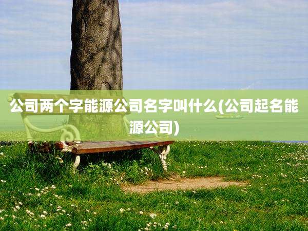 公司两个字能源公司名字叫什么(公司起名能源公司)