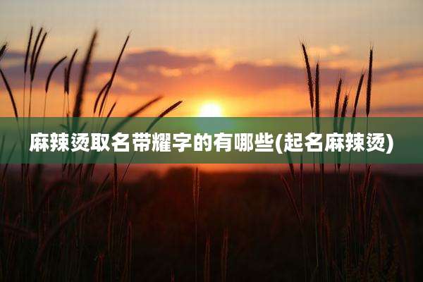 麻辣烫取名带耀字的有哪些(起名麻辣烫)