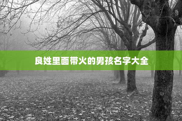 良姓里面带火的男孩名字大全