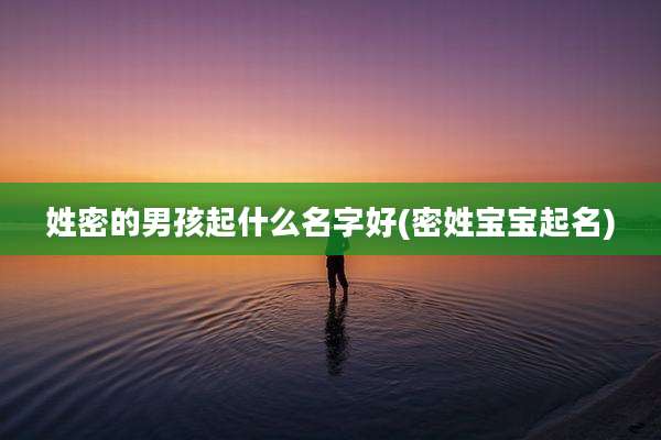 姓密的男孩起什么名字好(密姓宝宝起名)
