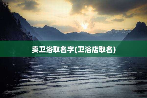卖卫浴取名字(卫浴店取名)