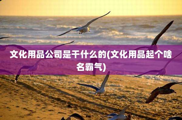文化用品公司是干什么的(文化用品起个啥名霸气)