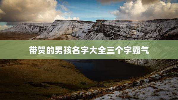 带贺的男孩名字大全三个字霸气