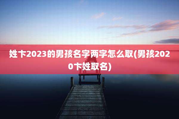 姓卞2023的男孩名字两字怎么取(男孩2020卞姓取名)