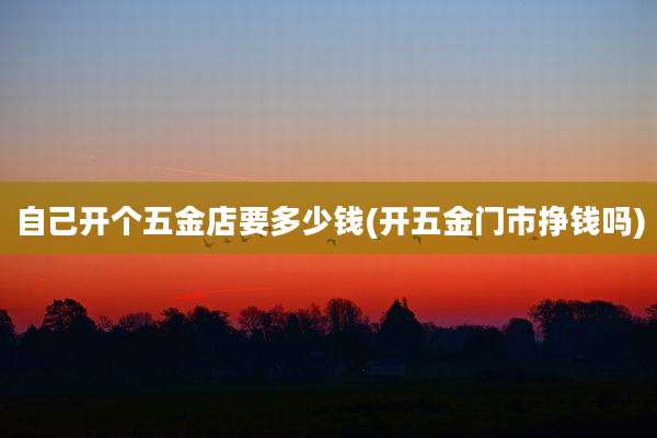 自己开个五金店要多少钱(开五金门市挣钱吗)
