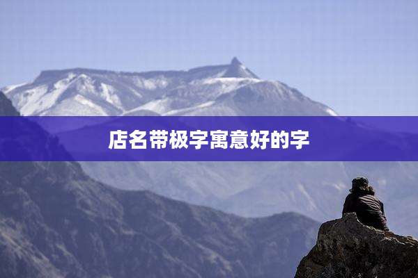 店名带极字寓意好的字