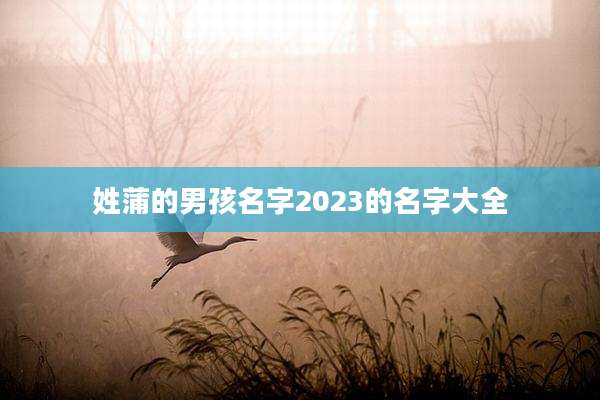 姓蒲的男孩名字2023的名字大全