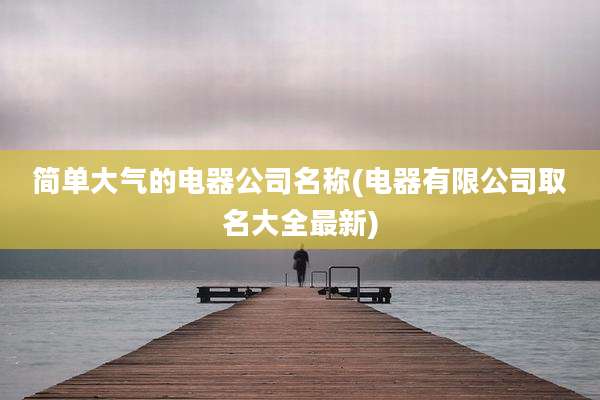 简单大气的电器公司名称(电器有限公司取名大全最新)