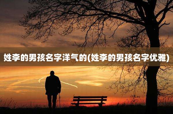 姓李的男孩名字洋气的(姓李的男孩名字优雅)