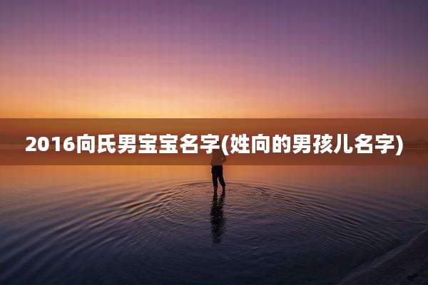 2016向氏男宝宝名字(姓向的男孩儿名字)