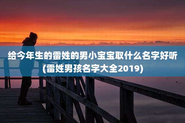 给今年生的雷姓的男小宝宝取什么名字好听(雷姓男孩名字大全2019)