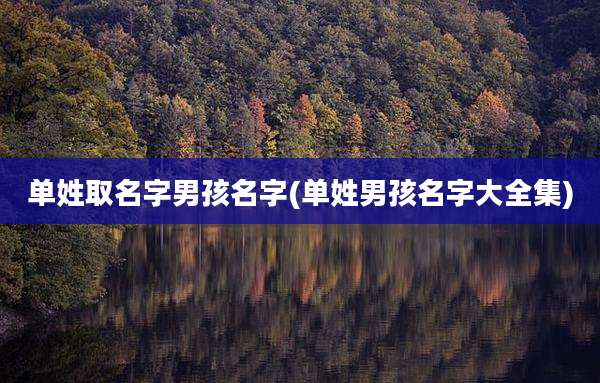 单姓取名字男孩名字(单姓男孩名字大全集)